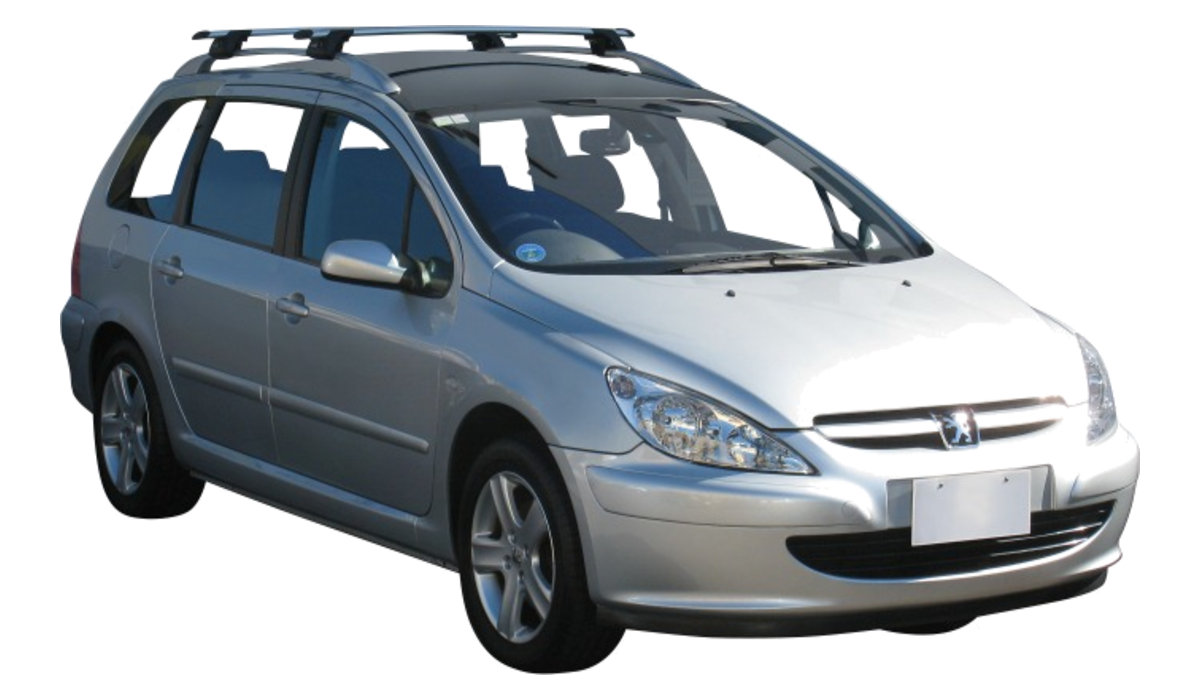 Peugeot 307 sales roof bars